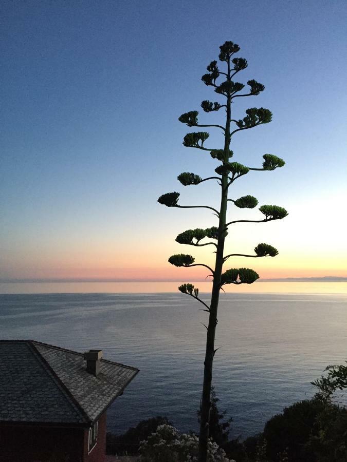 Appartamento A Moneglia, Tra Portofino E Le Cinque Terre Exterior foto